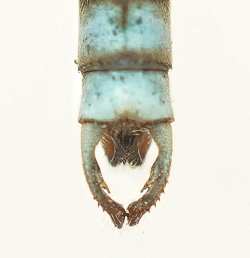 OOI-pmy191