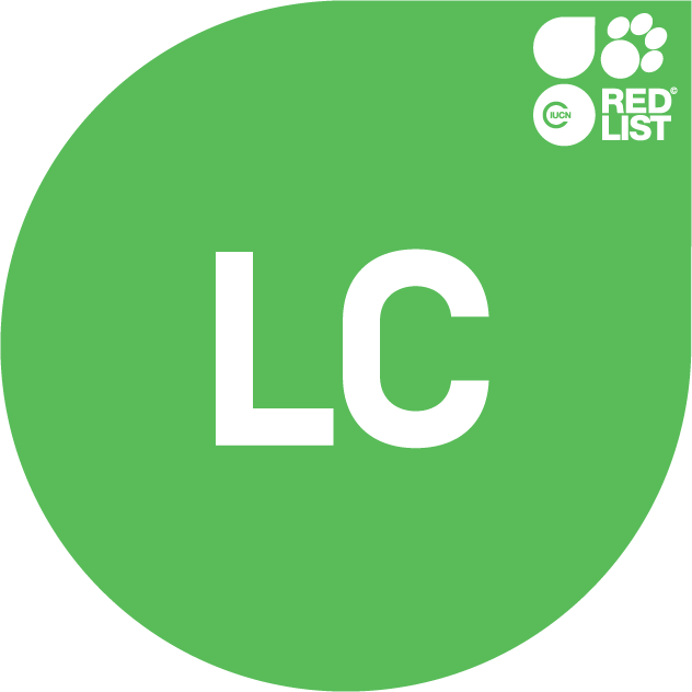 image-20260130165138-1