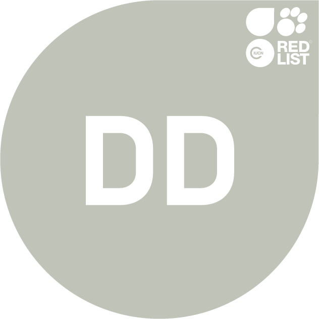 image-20260508202949-1
