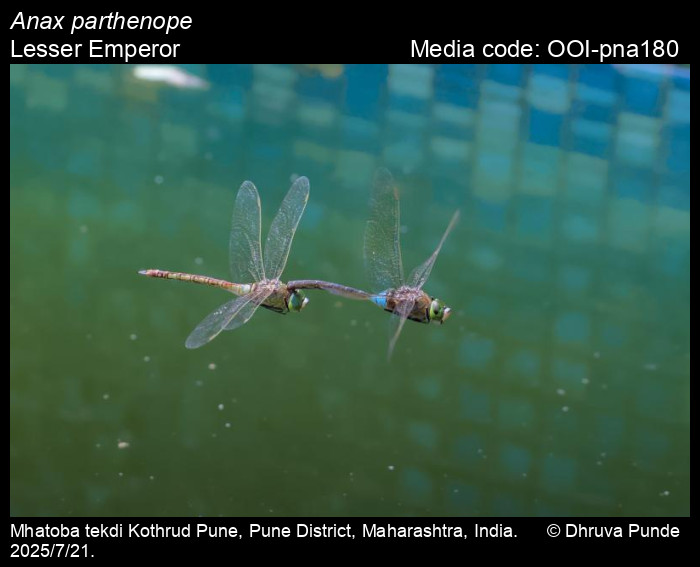 OOI-pna180