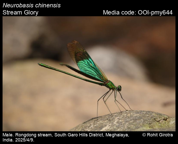 OOI-pmy644