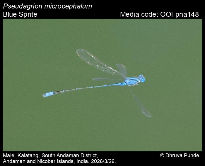 OOI-pna148